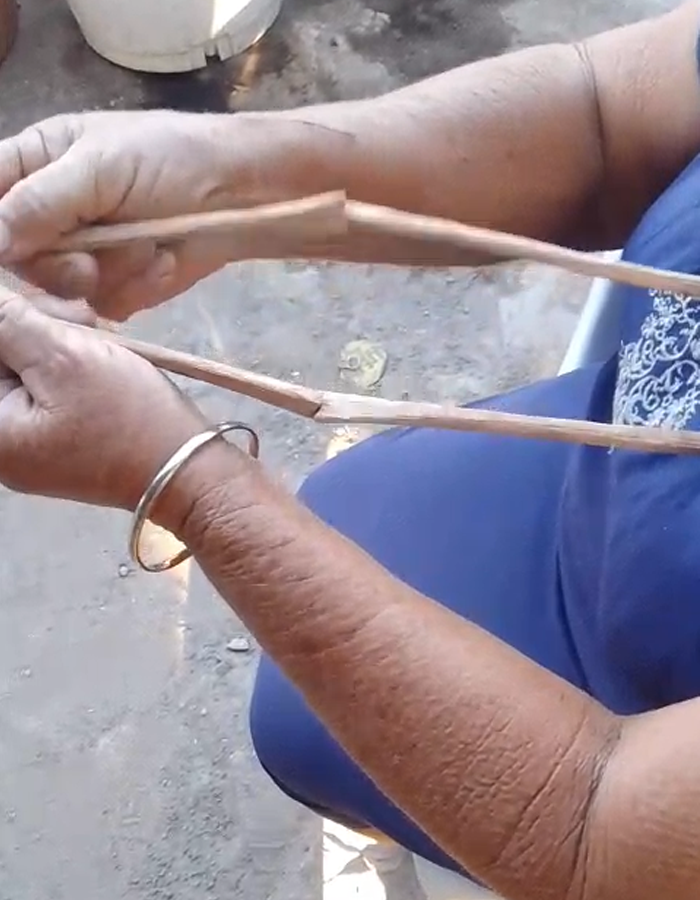 palitos buscadores